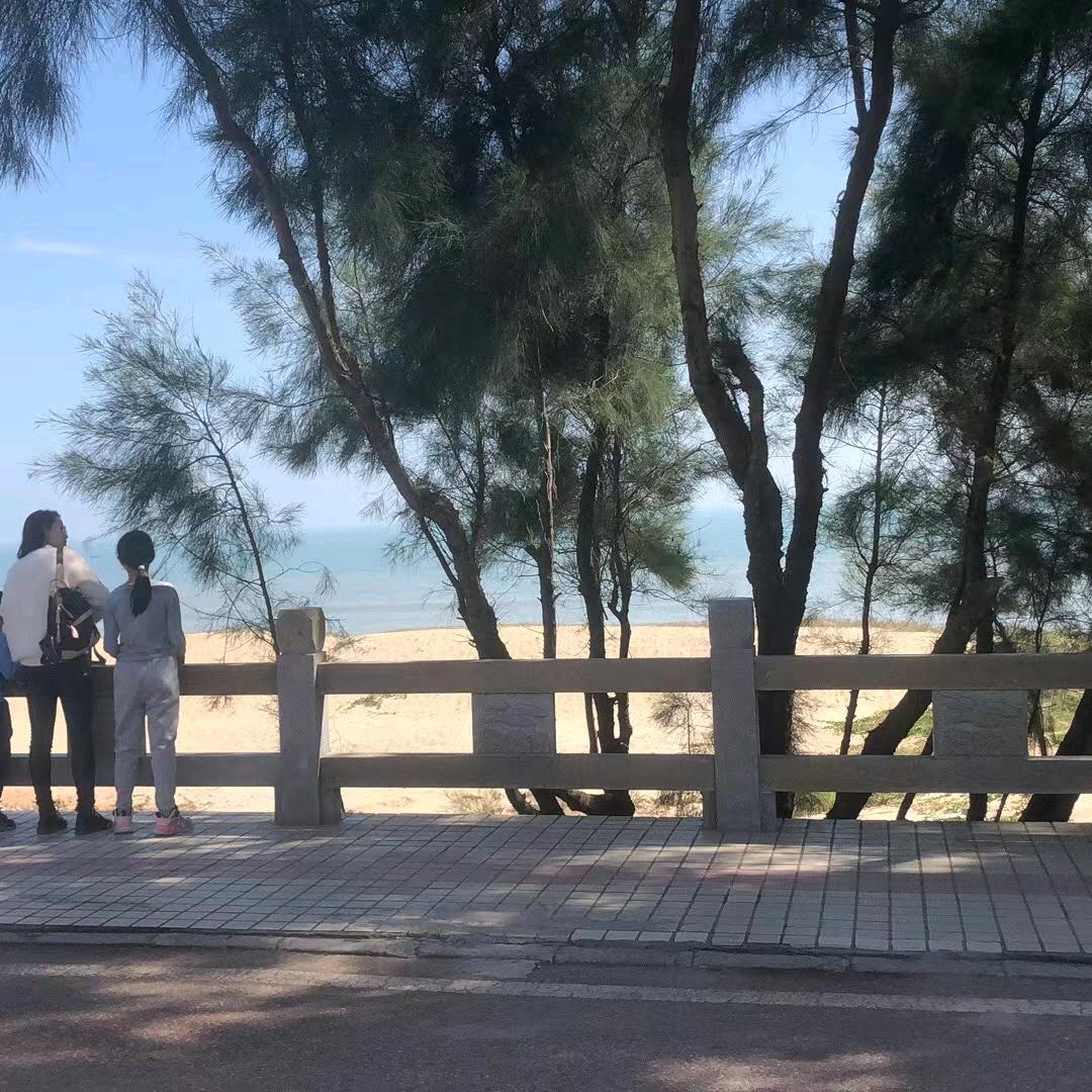 婷婷