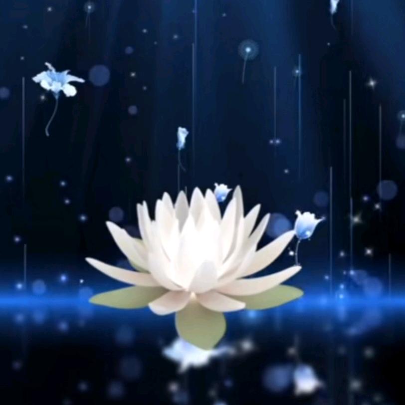 愿做菩萨那朵莲ヾ(❀╹◡╹)ﾉﾞ❀~