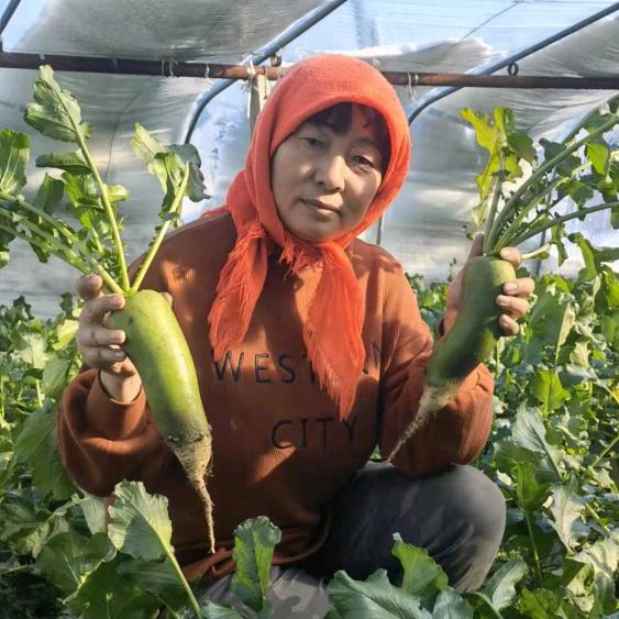 青泽蔬菜