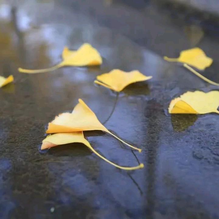 李梅