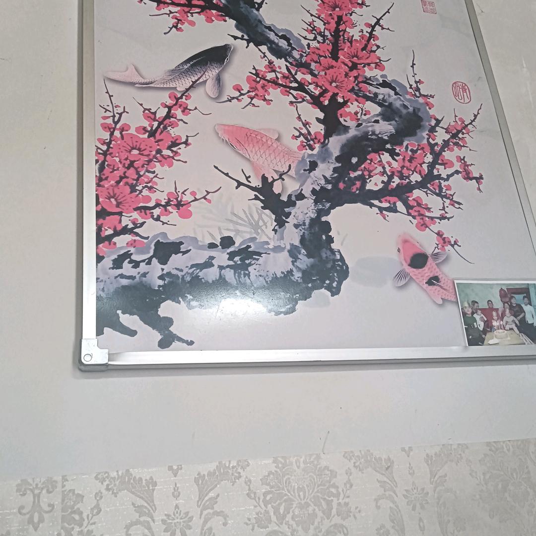 老付6725