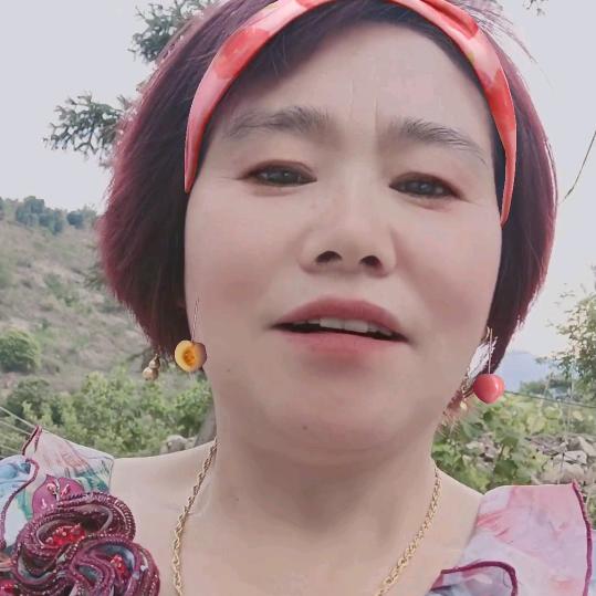 75的快乐兔