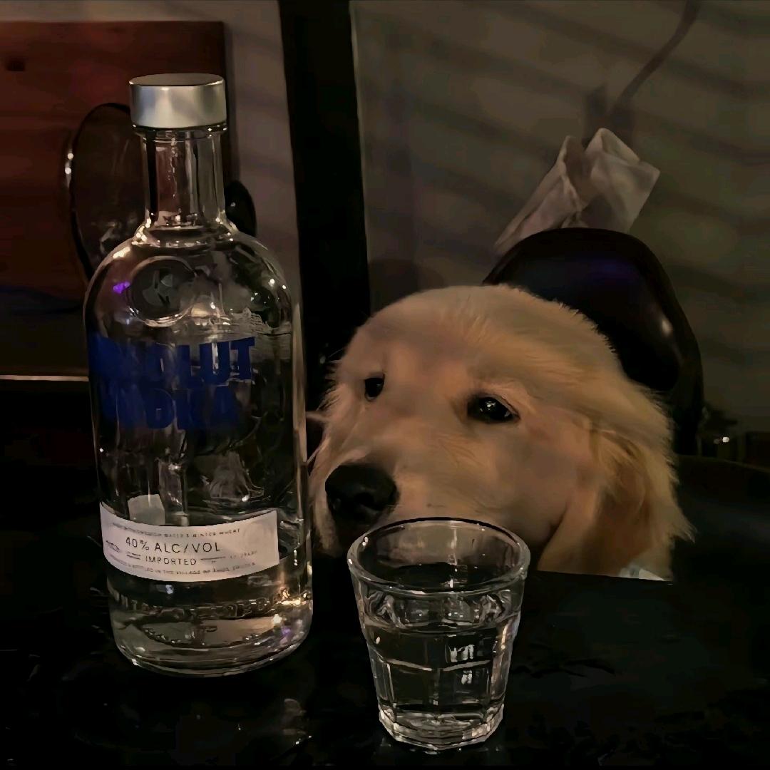 www.