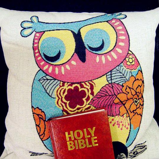 《轻轻推开一扇窗》作曲 李小兵 东东