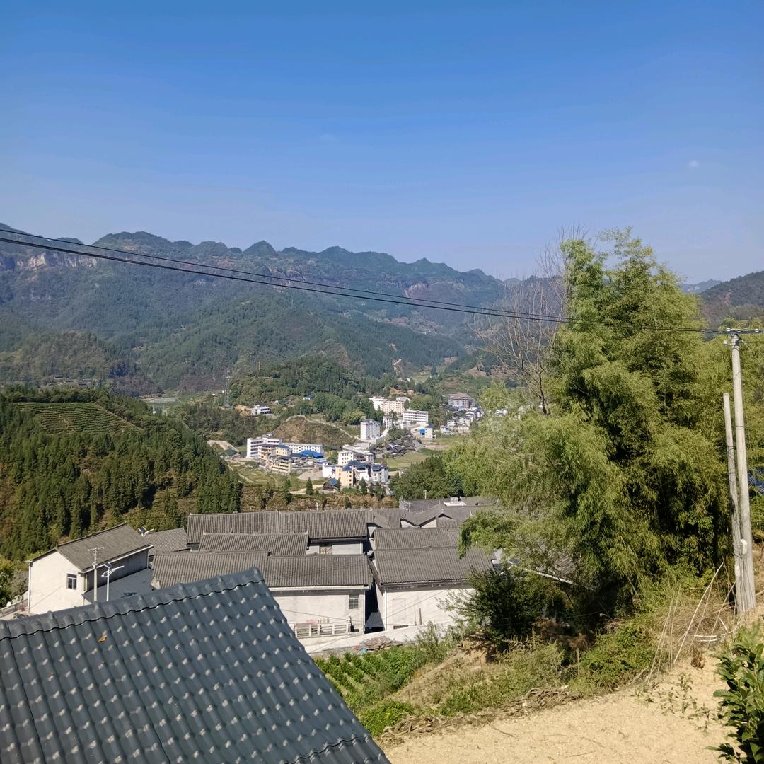 还在流浪