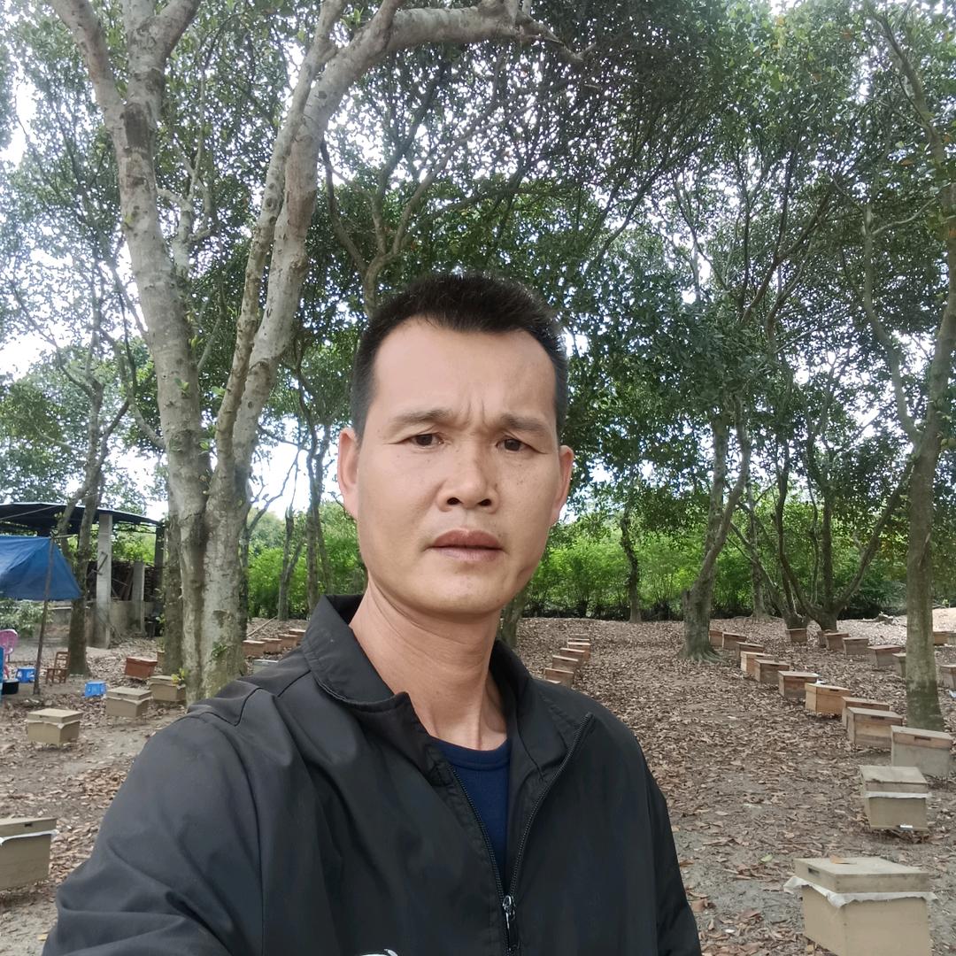 洋青养蜂人