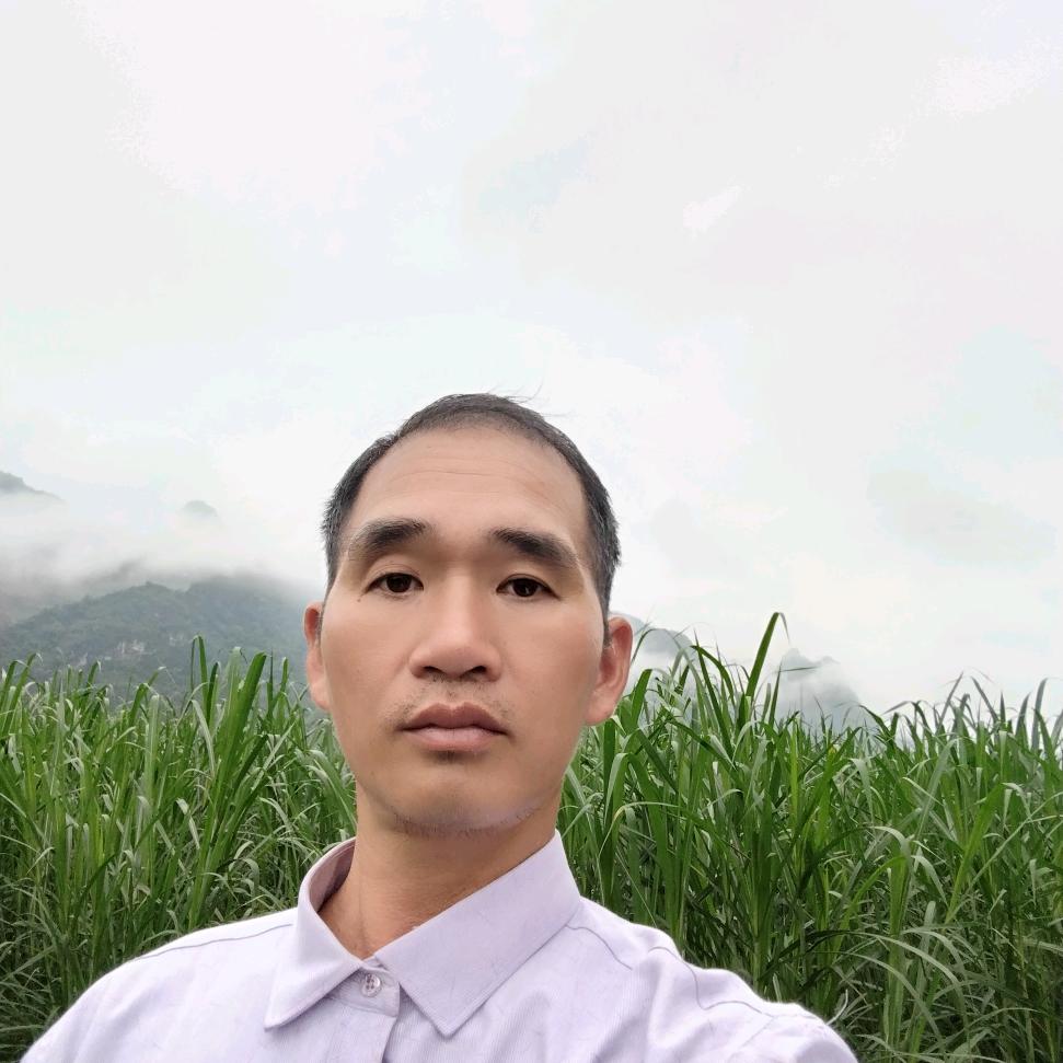 天相（不定时开播）