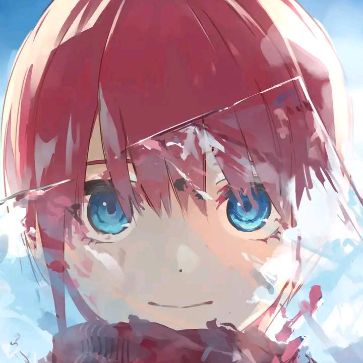 一花---一世界
