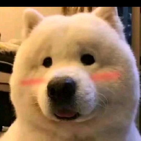 我睡觉的时候不困。