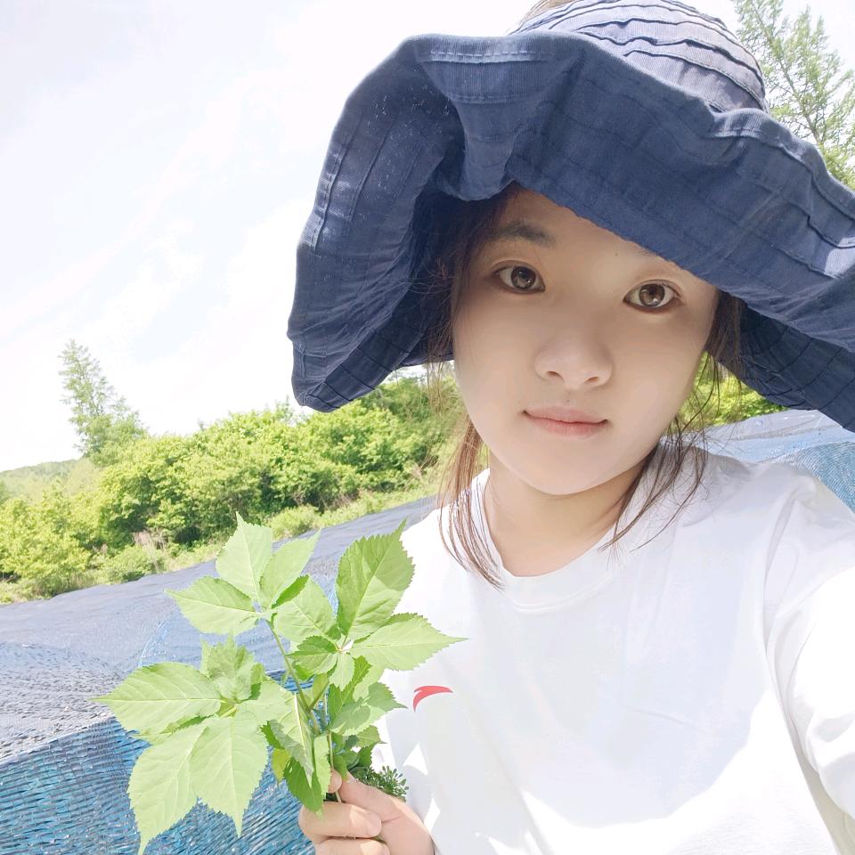 长白山小丁种植基地