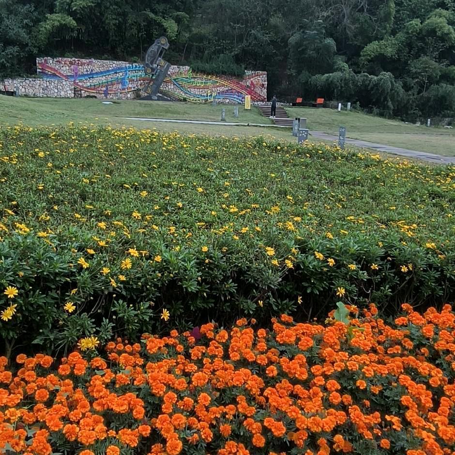 飘令雪文案《好物在橱窗》