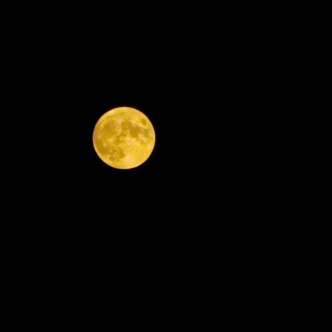 💫秦✨