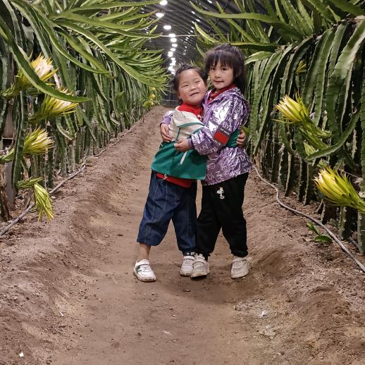 咸阳荣雨凡采摘园