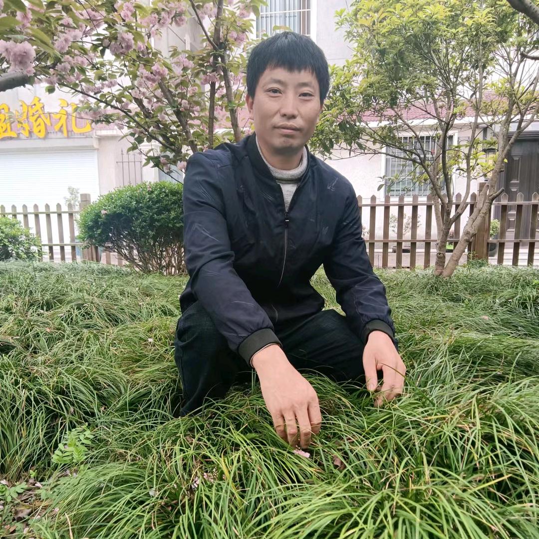 张开树🎙️尊师温馨燕儿