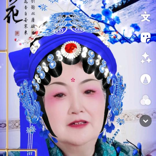 何奶奶