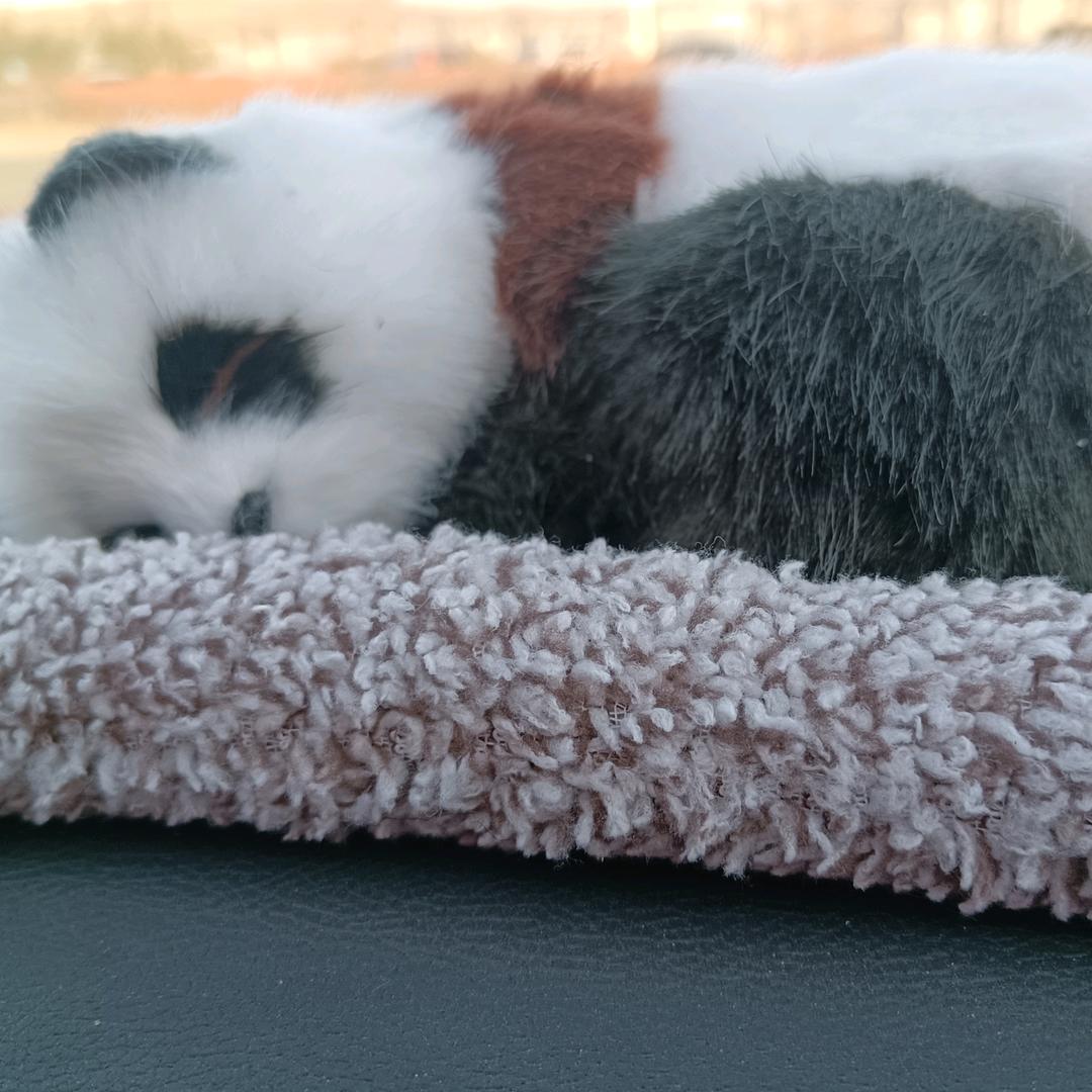 八零后羿