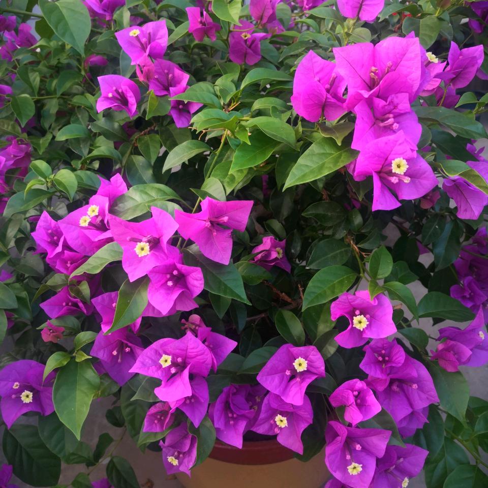 金诺包装制品有限公司