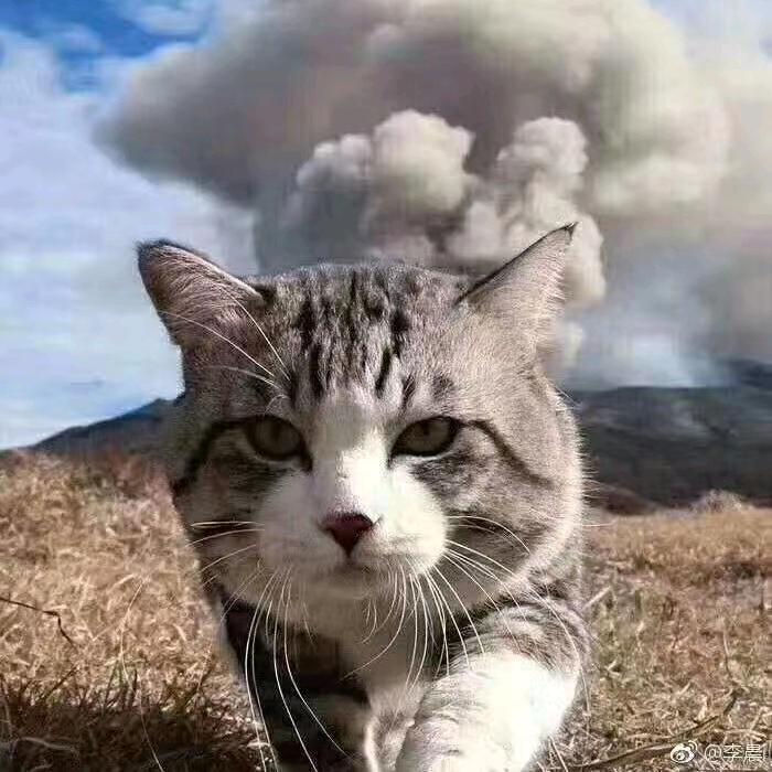 暖暖⁺