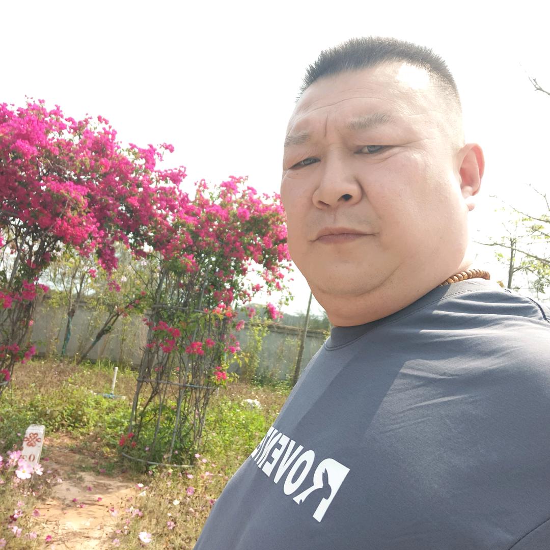 贵人鸟