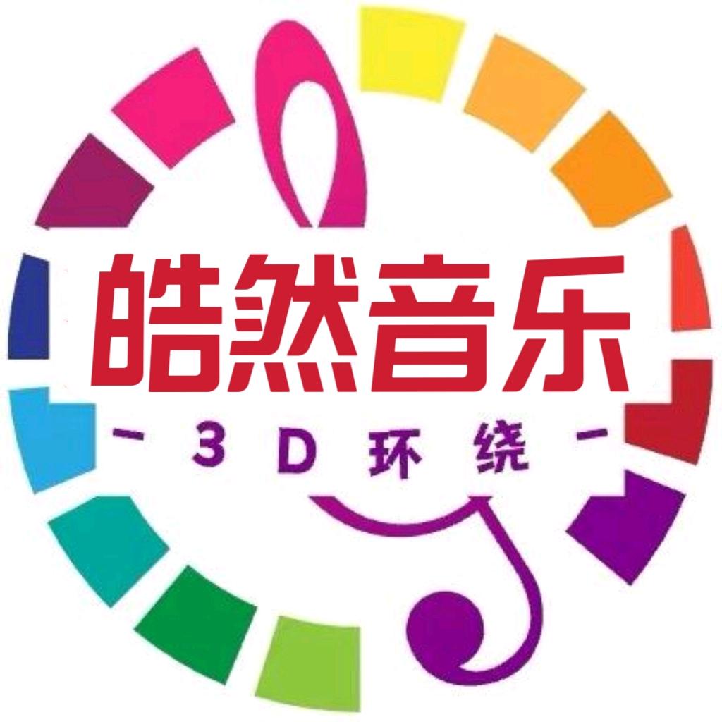 皓然高端定制车载音乐