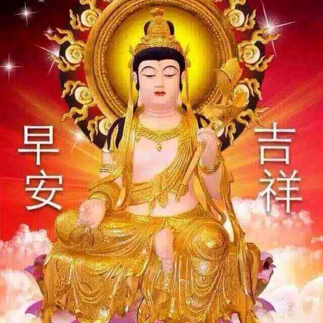 燕子闽贵人