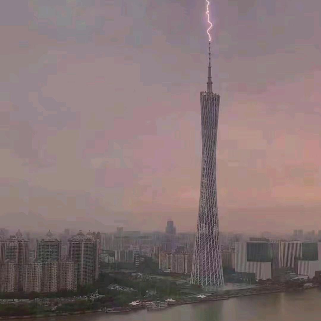 【笨猫和拽猫】起那么早啊～