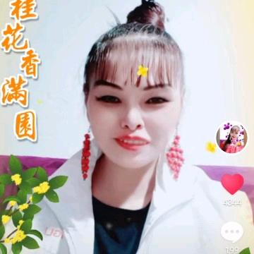 火凤凰