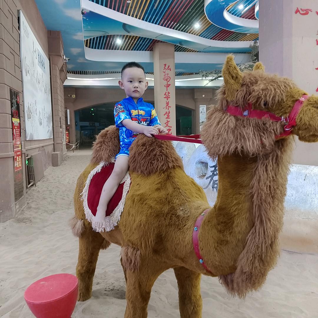 灵普乐玩具批发