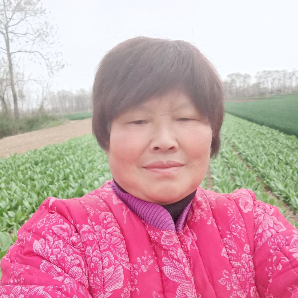 乡村王姐