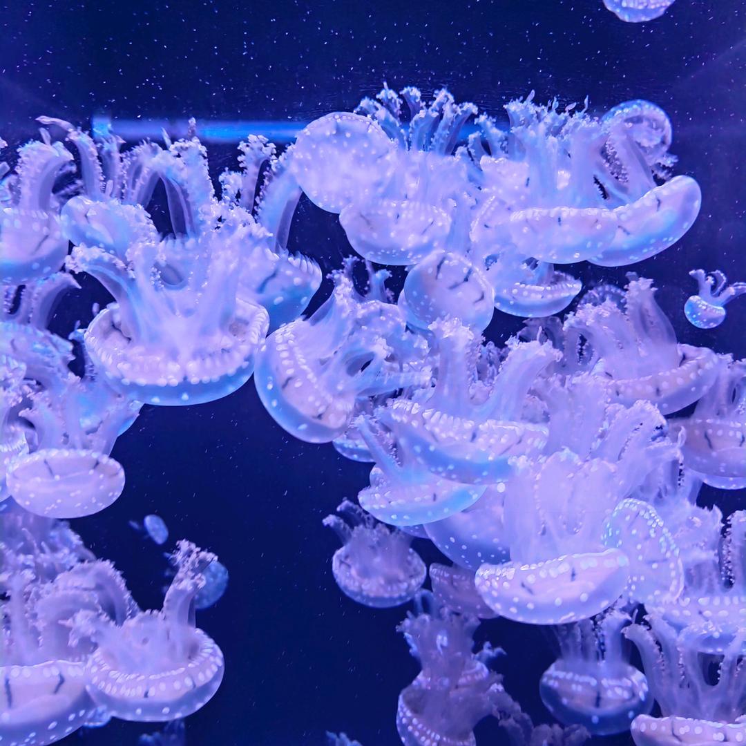 壹輩子侑伱╮硪已知哫