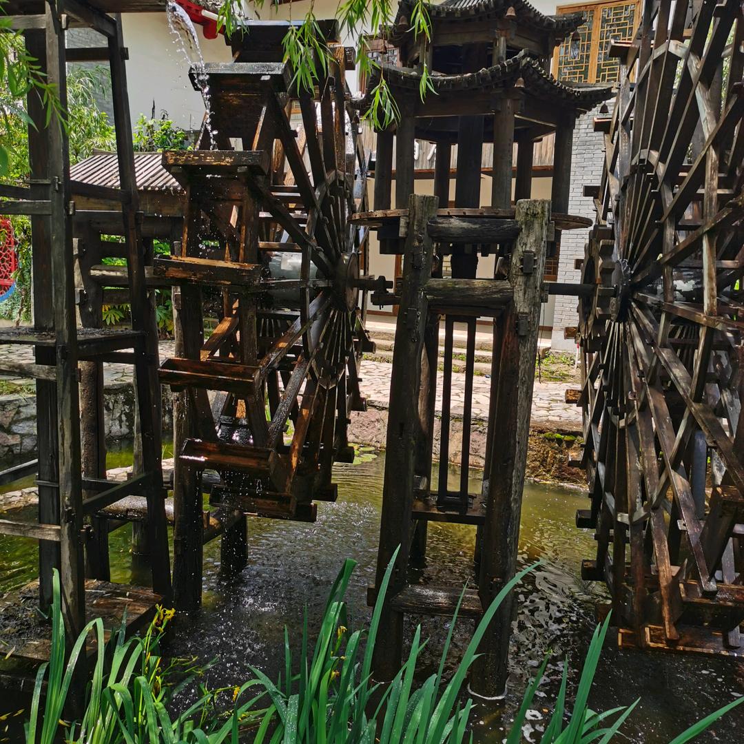 jing 花椒酸奶