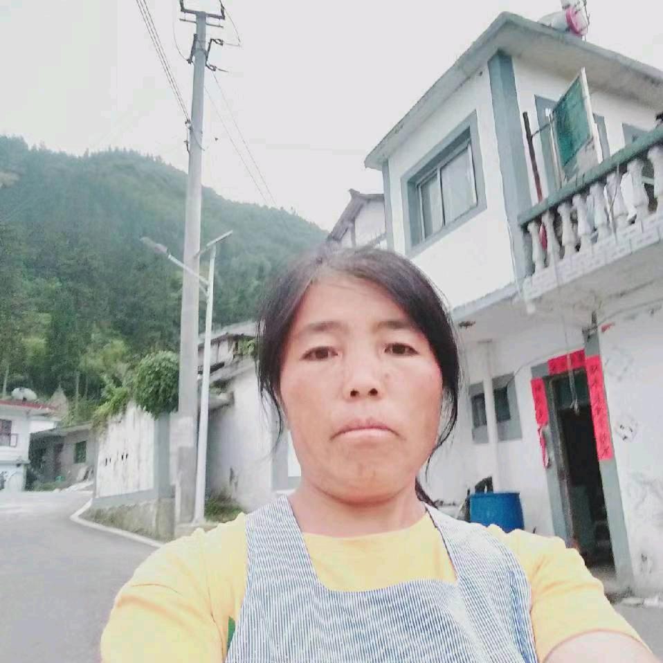 世界和平