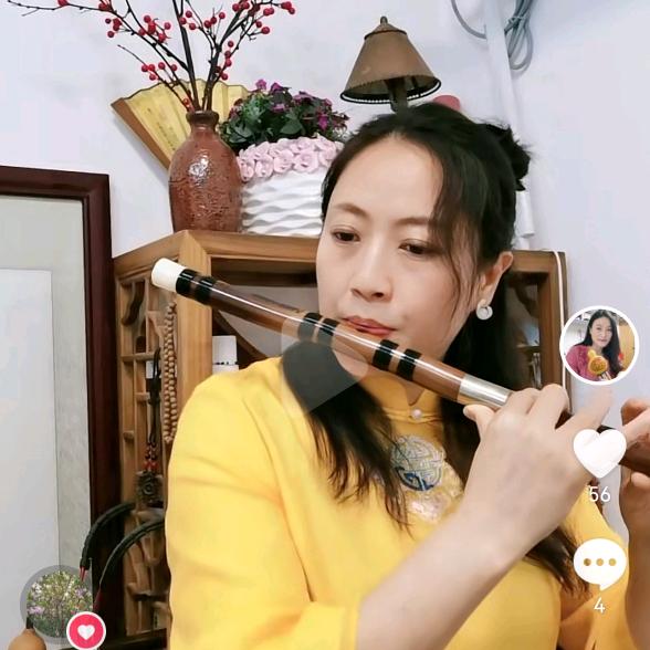 笛箫情（笛丶箫丶葫丶埙丶吹管）