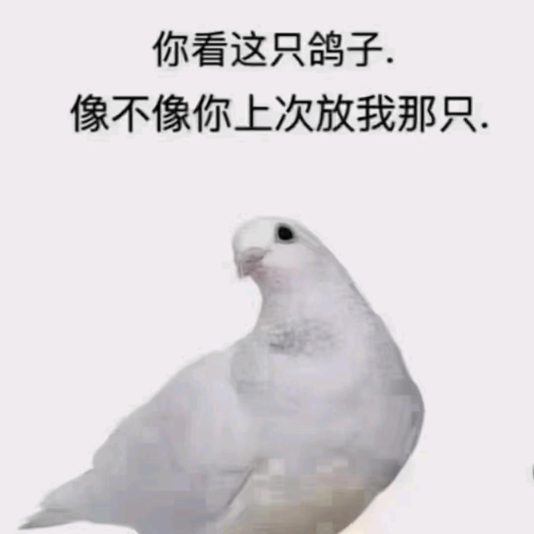 守村人