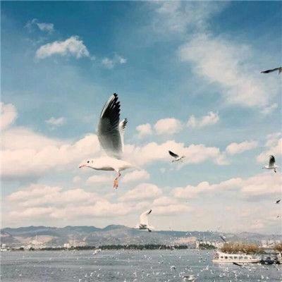 flyange