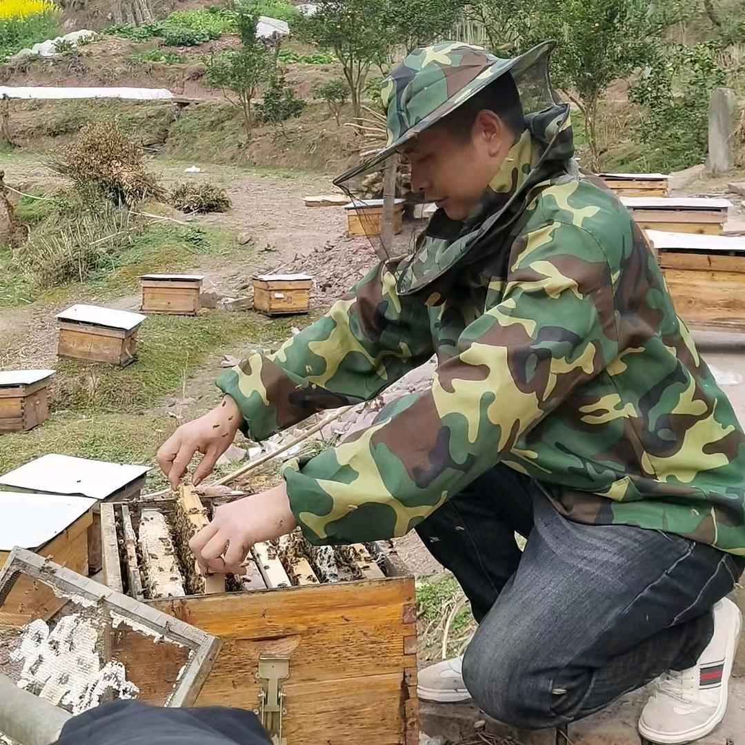 史进蜜蜂养殖户