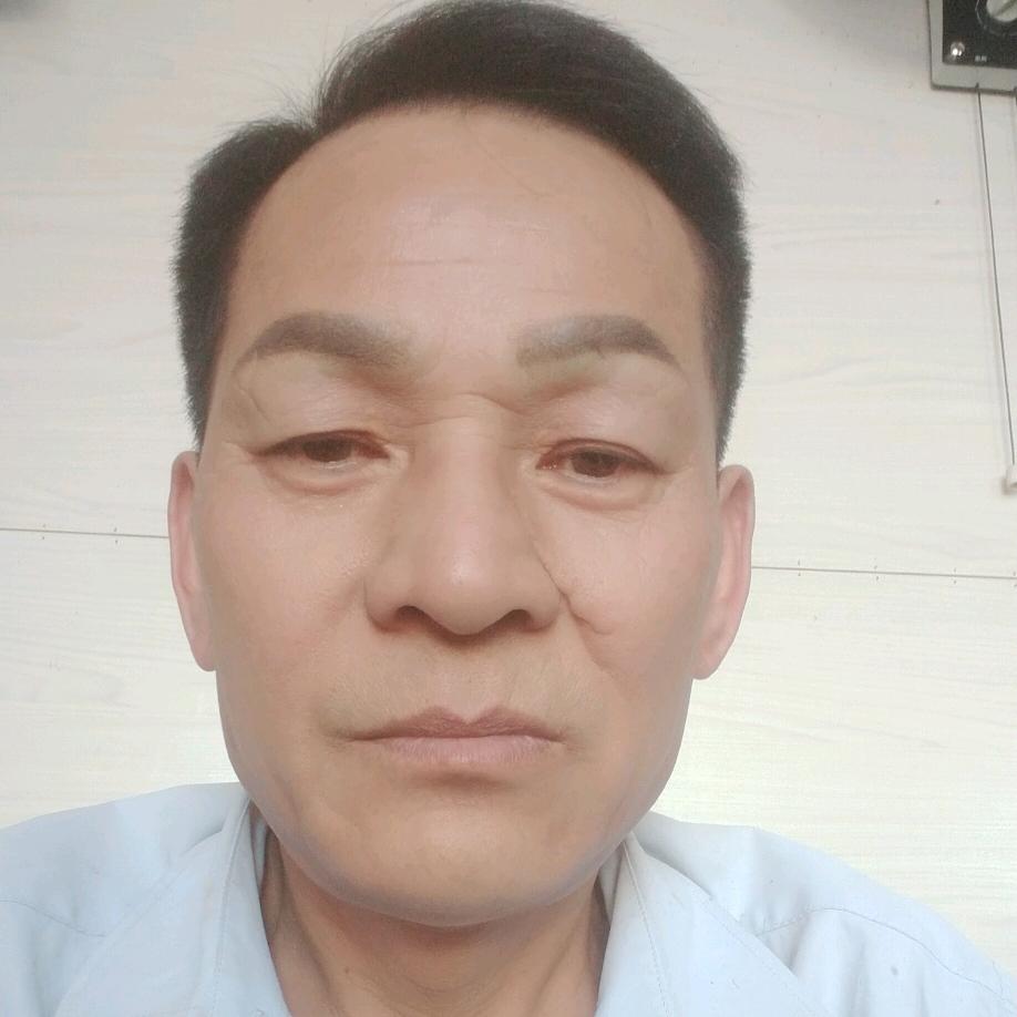 自由的小鸟