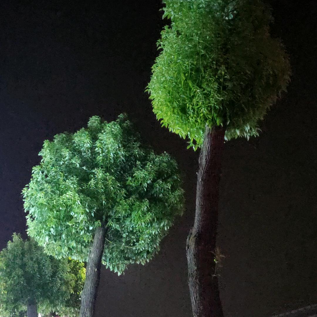 方兴未艾