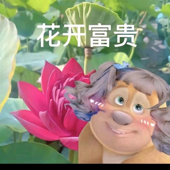 富贵花开🌸
