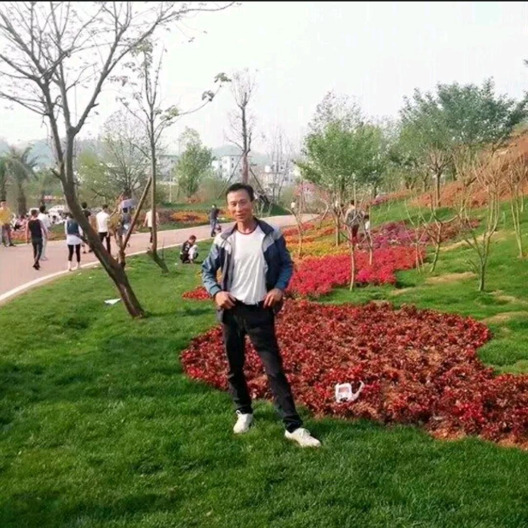 闲花草