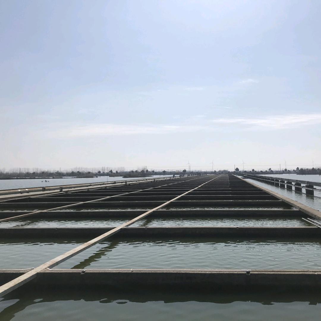 汇明龙盛水产品中心