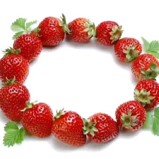 @阳光奶油草莓园🍓🍓