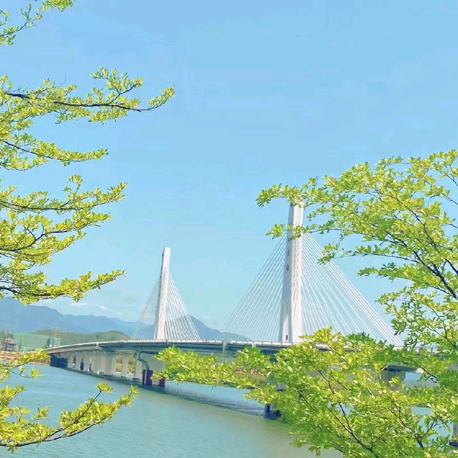 ❤️六六🐶团团🐯圆圆❤️