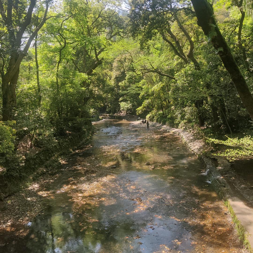 朱米