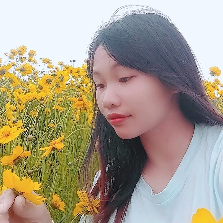 燕子燕子