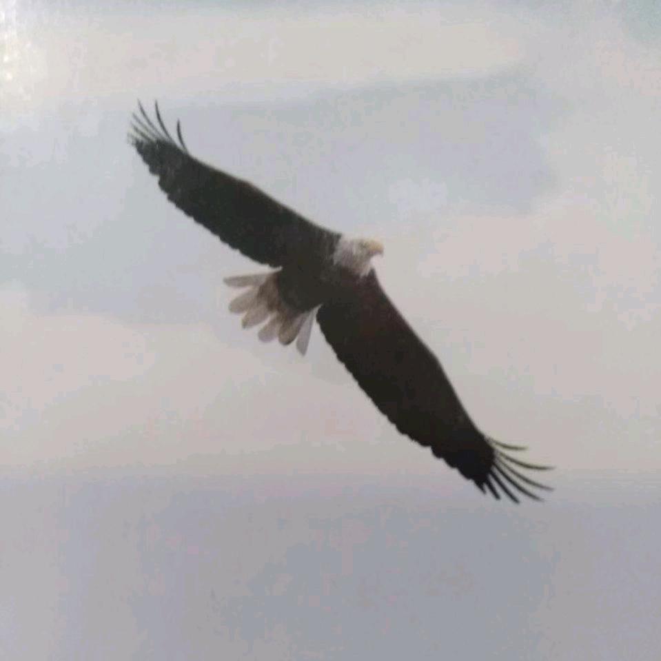 知足常乐.