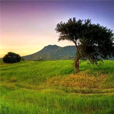 昌邑市雨浩纺织有限公司，常年生产各种毛巾