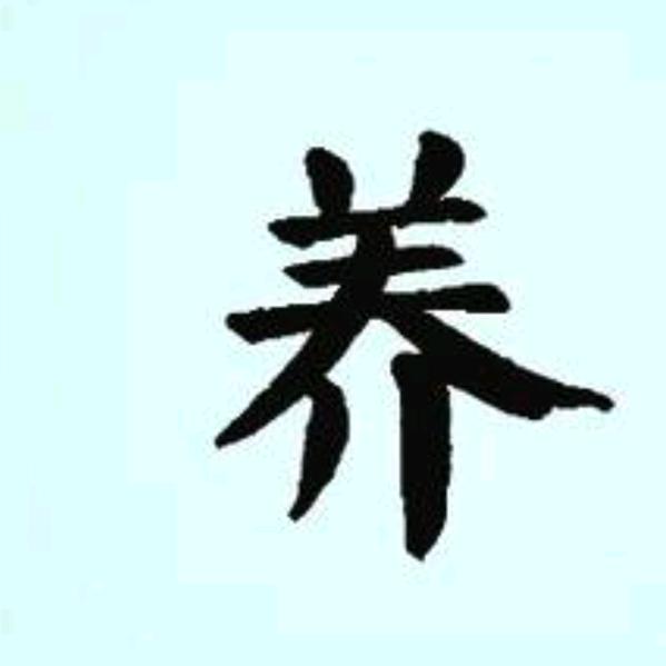 娟子爱健康