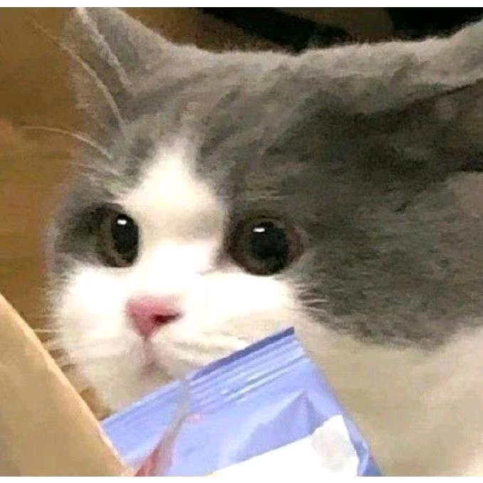 拾光😇😇😇