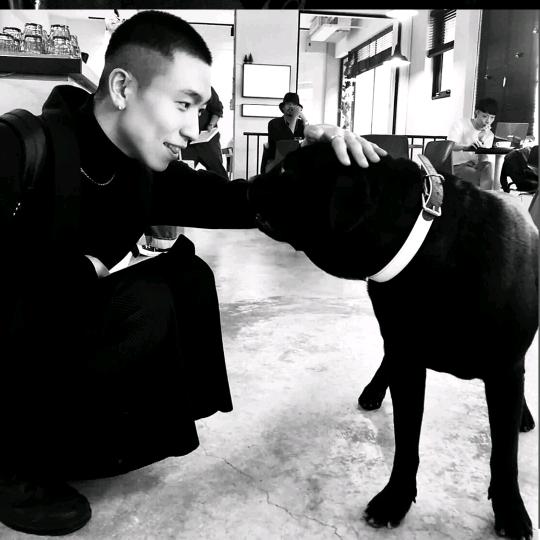 nice、xiaojie